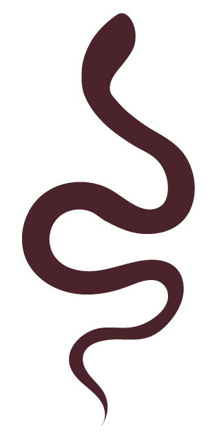 Schlange_pflaume Rose